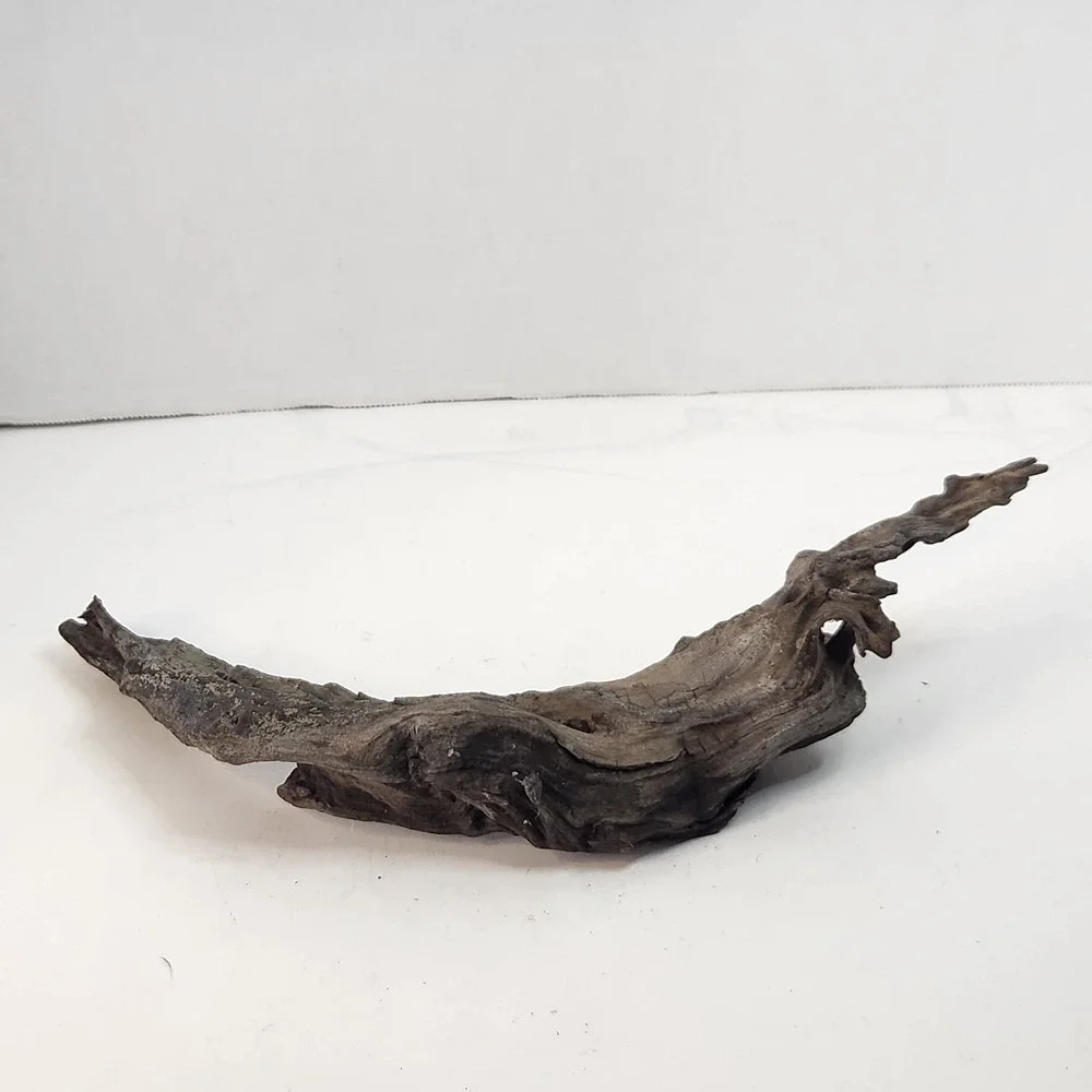 Natural driftwood for aquarium/terrarium/arts and crafts/Taxidermy 12